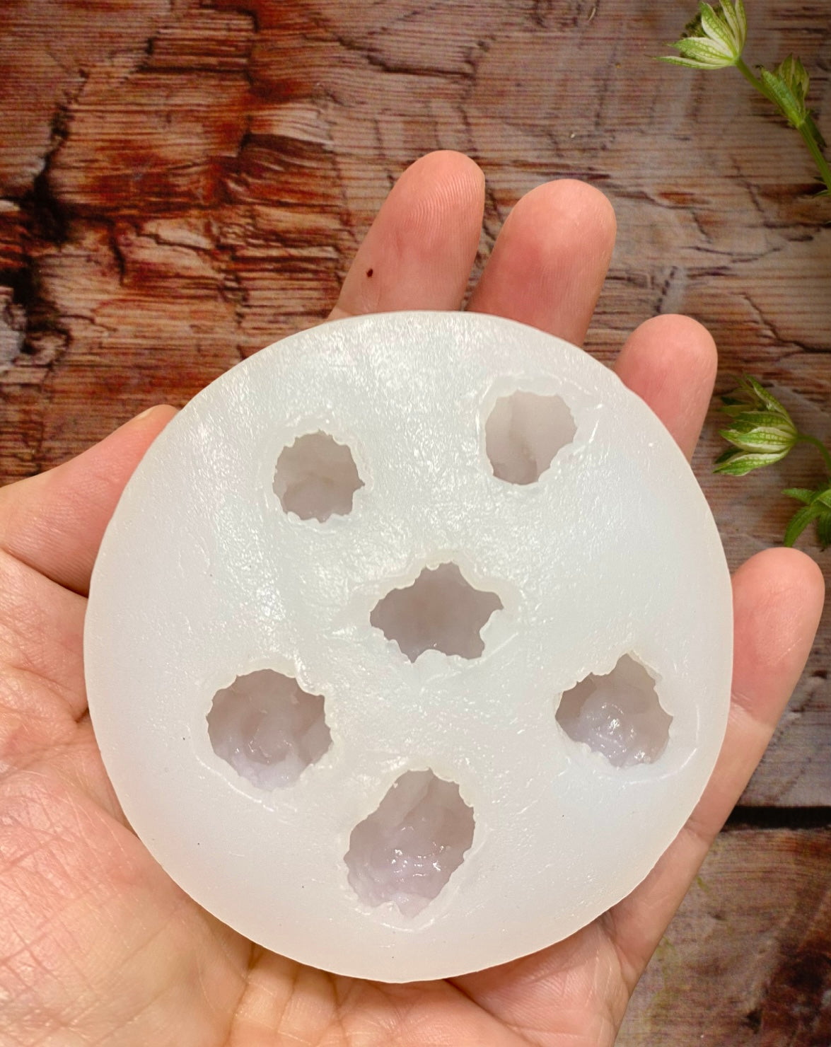 Palomitas de Maíz