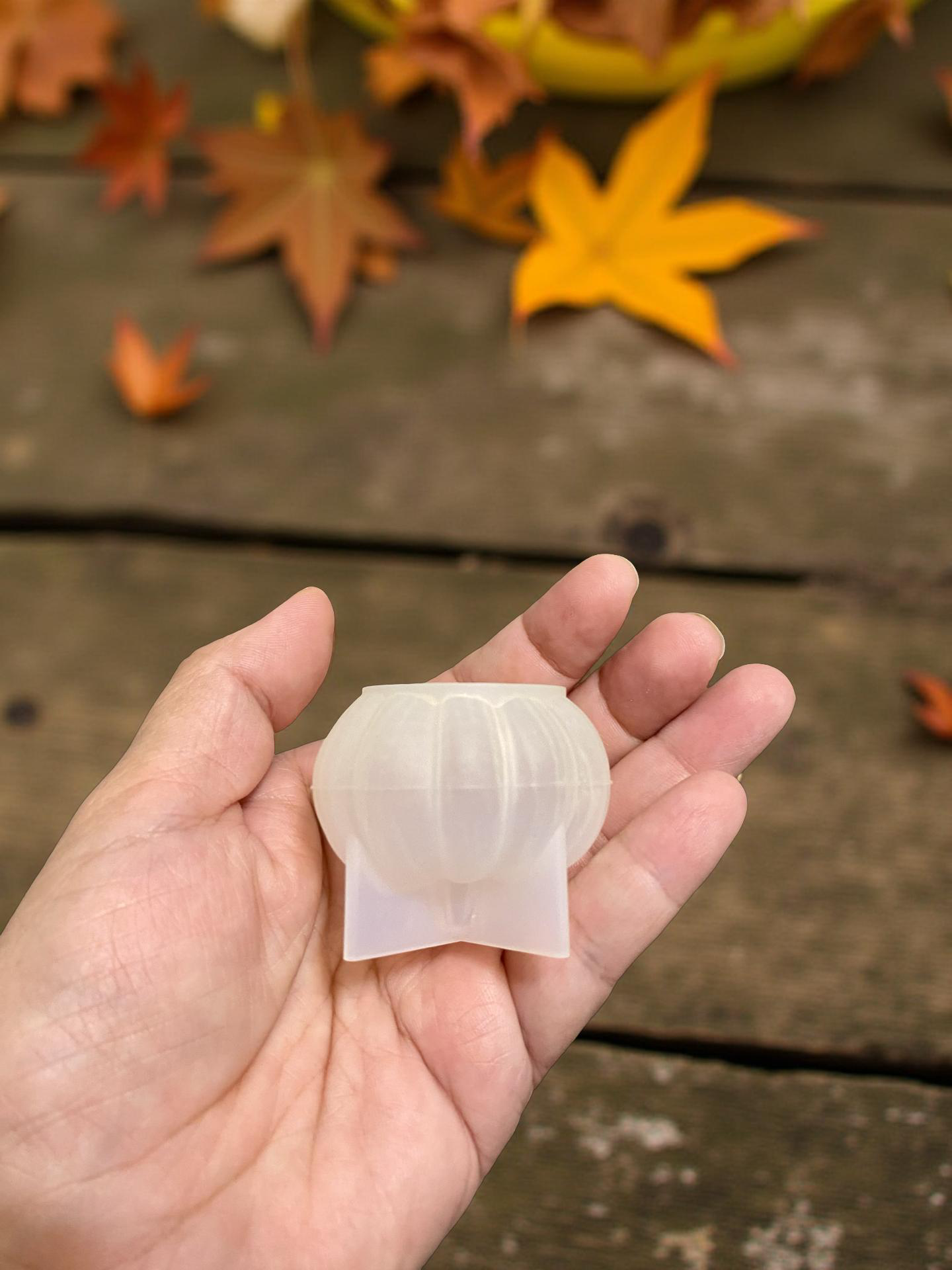 Calabaza mini