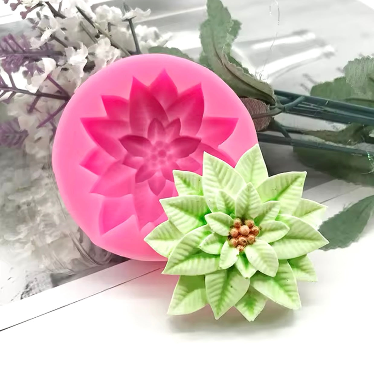 Flor de Nochebuena # 2