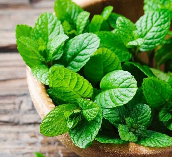 Fragancia Menta (15ml)