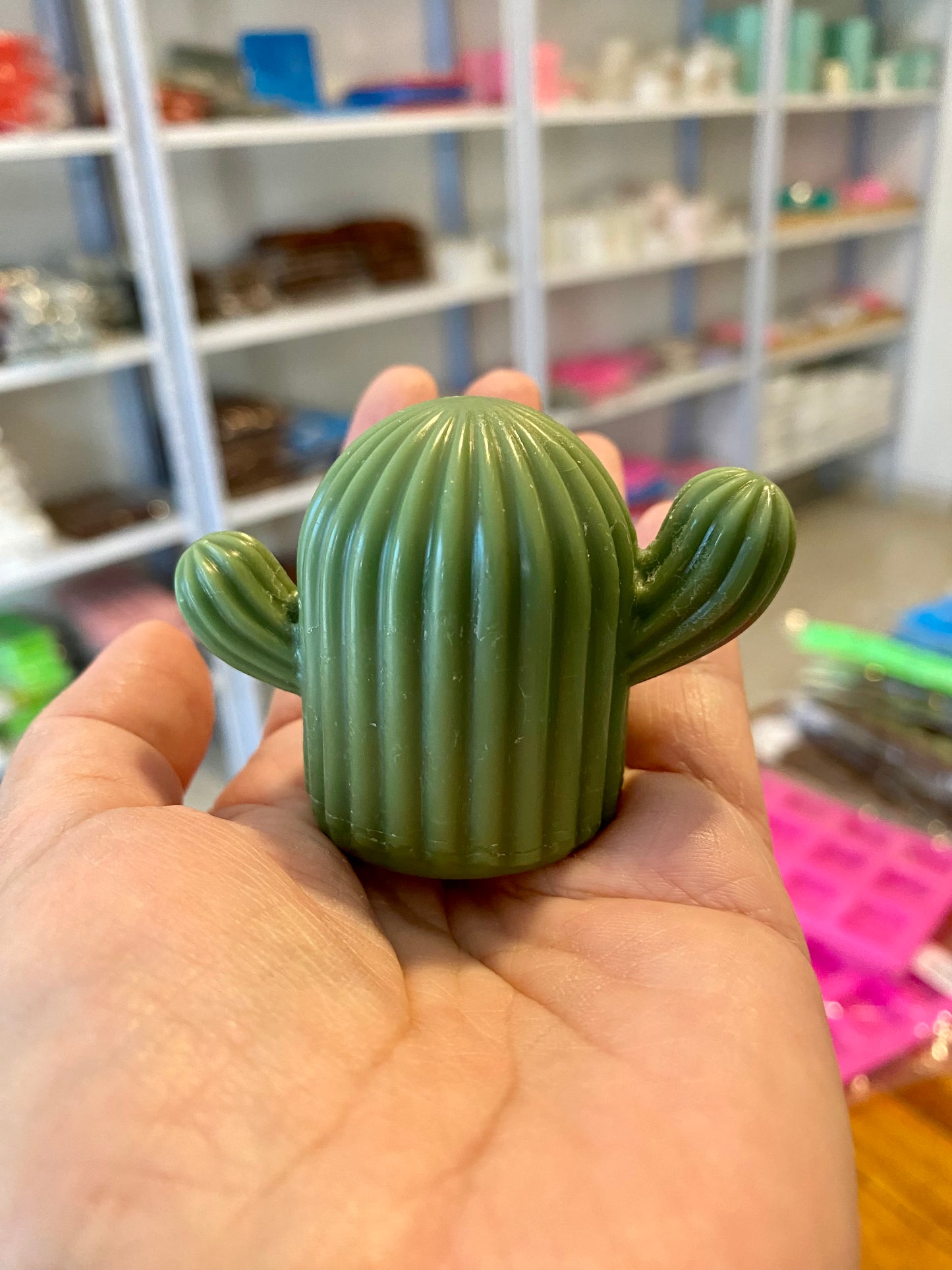 Cactus