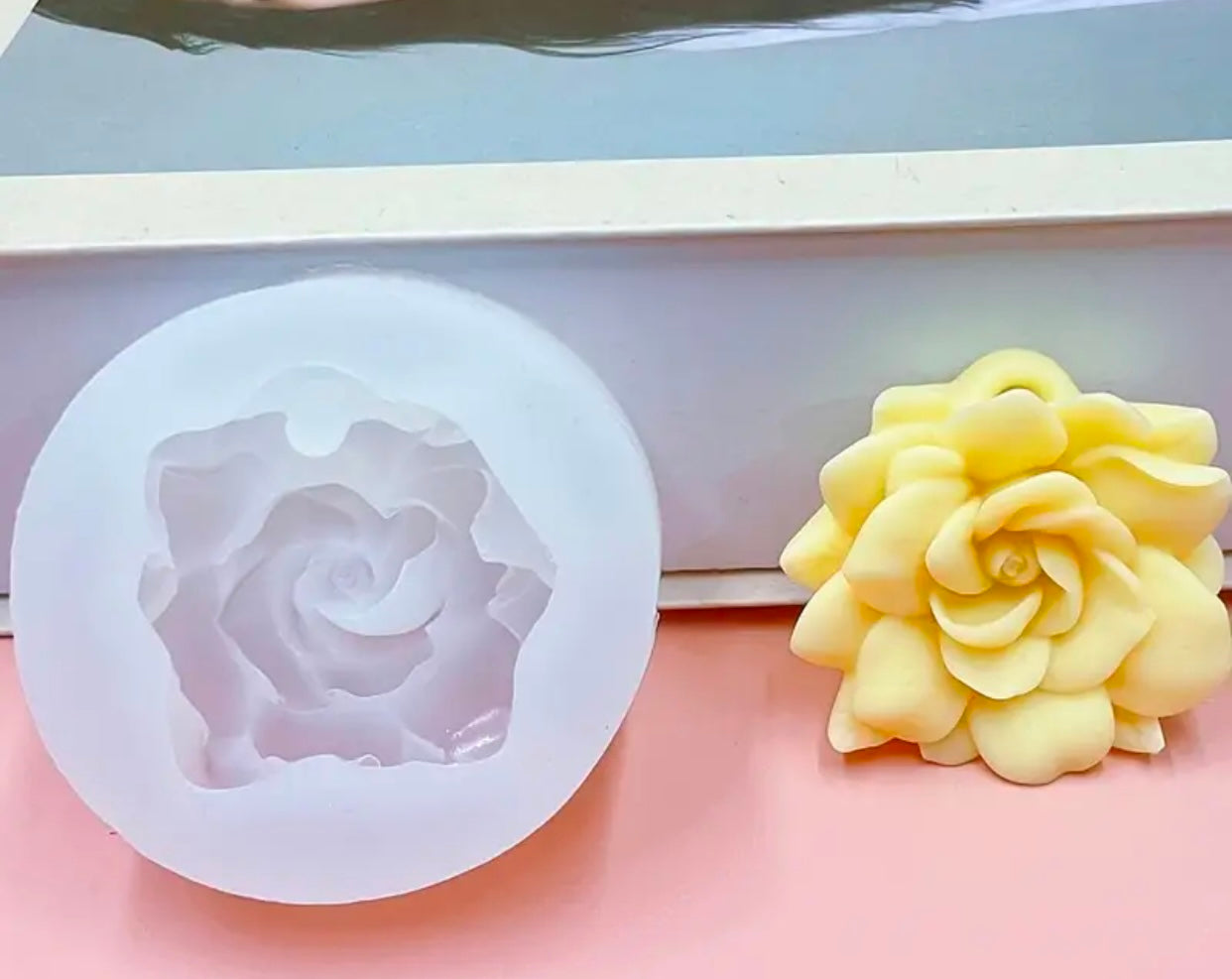 Rosa abierta