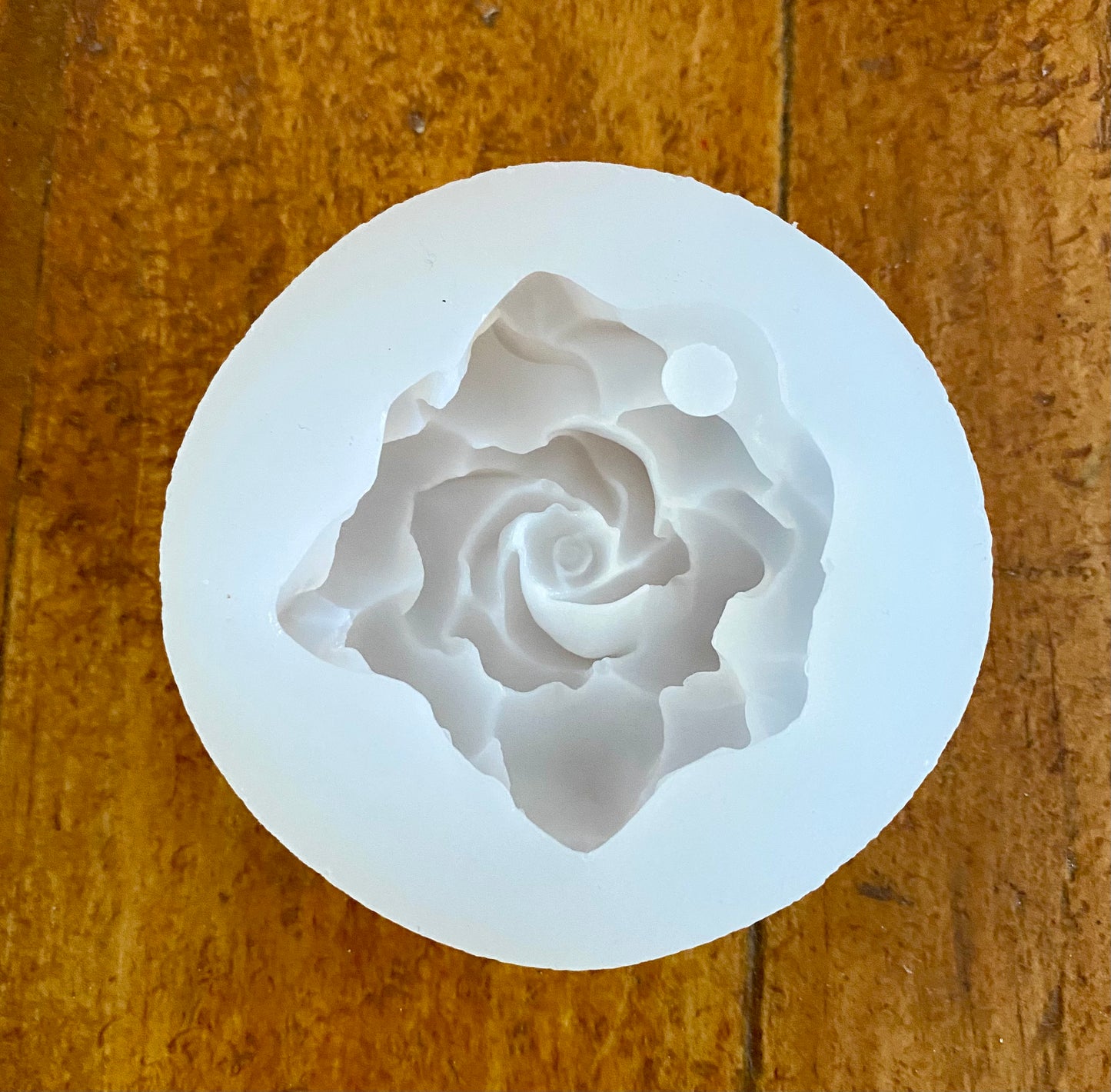 Rosa abierta