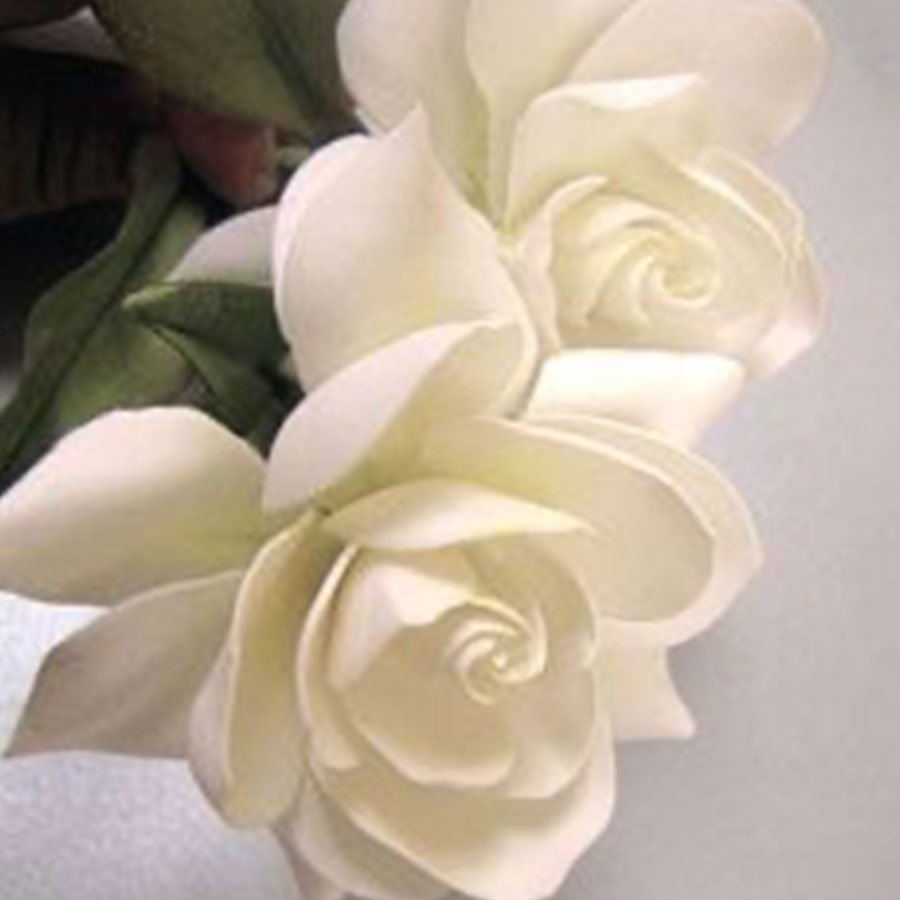 Fragancia Gardenia (50 ml)