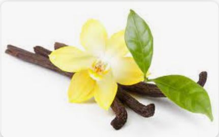 Fragancia Vainilla (50 ml)