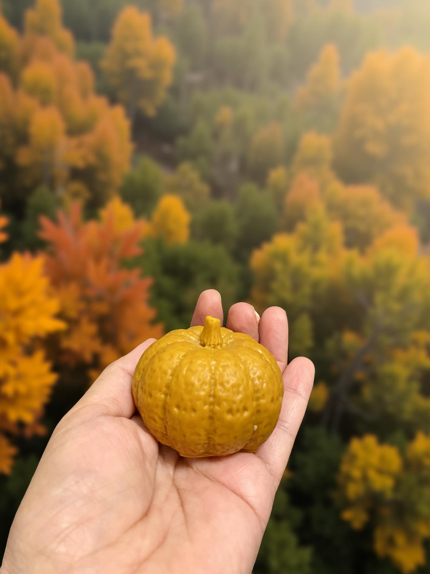 Calabaza grande