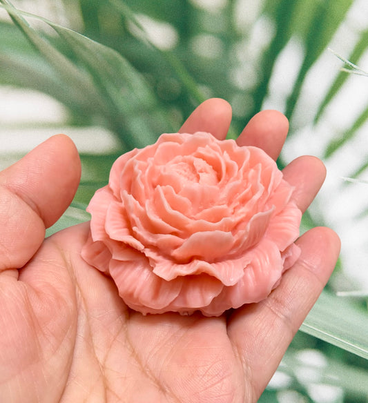 Peonia (chica)