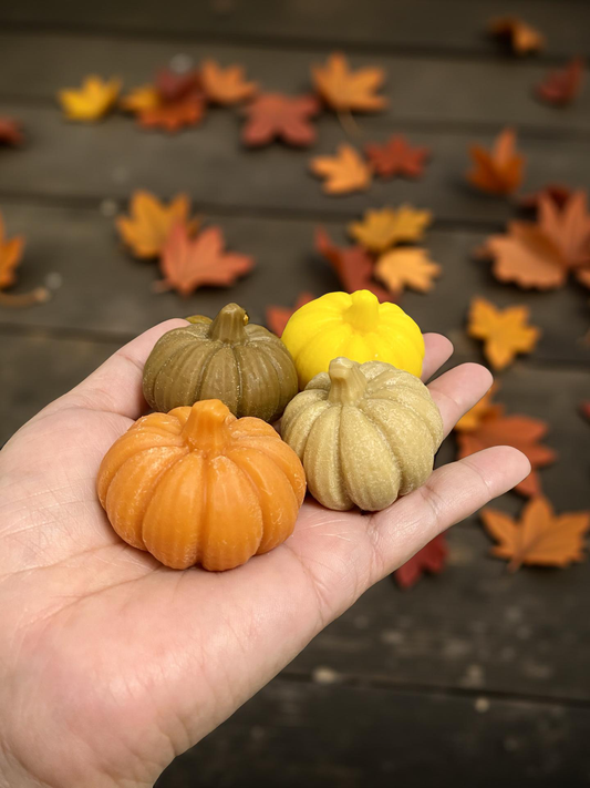 Calabaza mini