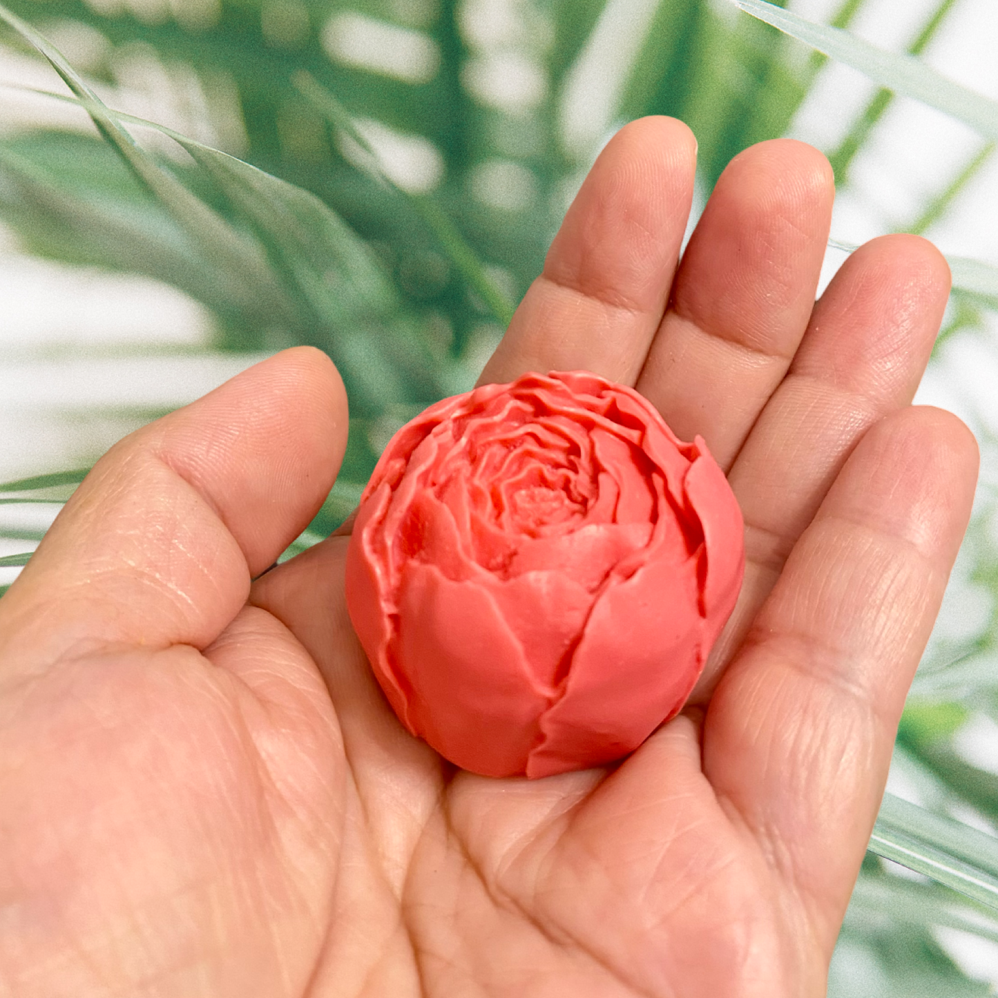 Boton de Peonia 2
