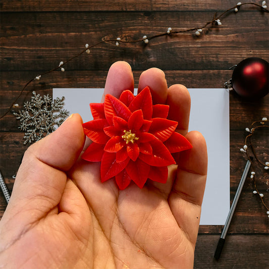 Flor de Nochebuena # 2