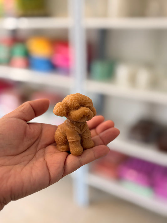 French poodle