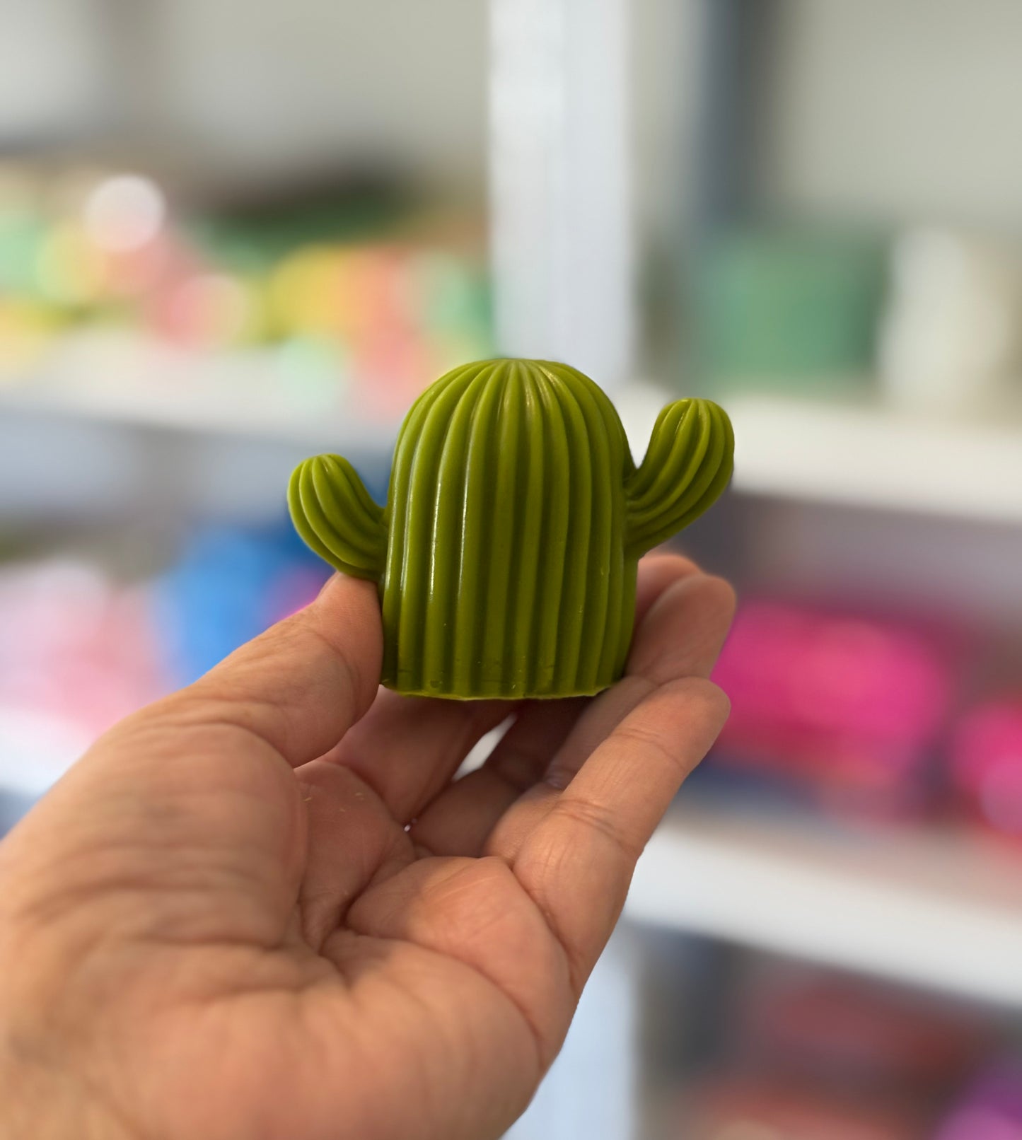 Cactus