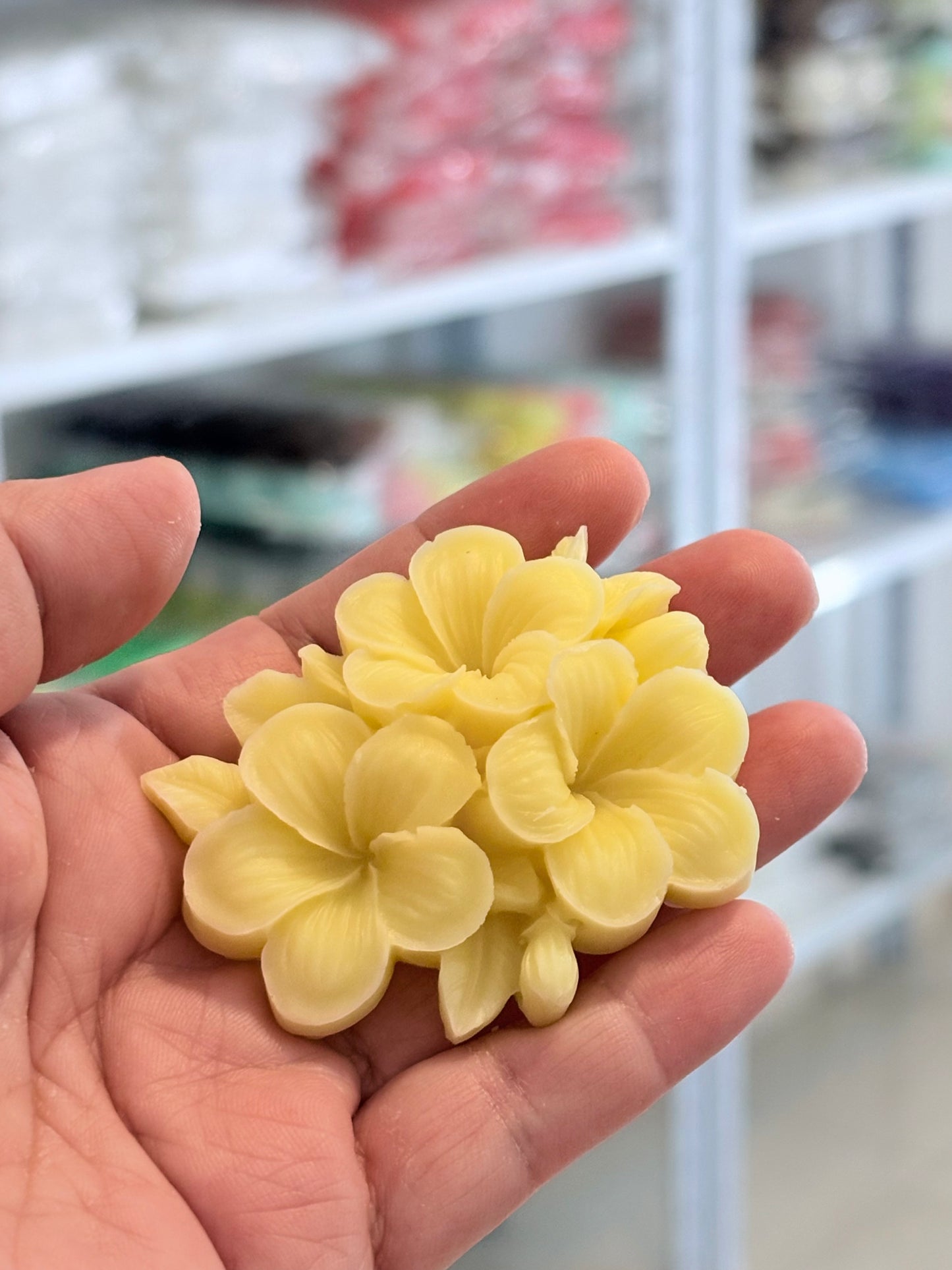 Flor Plumeria