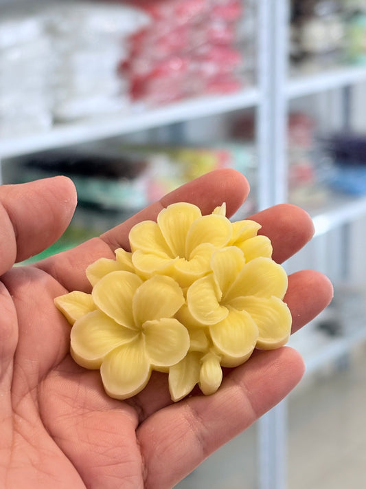 Flor Plumeria