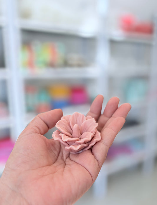 Flor de Malva