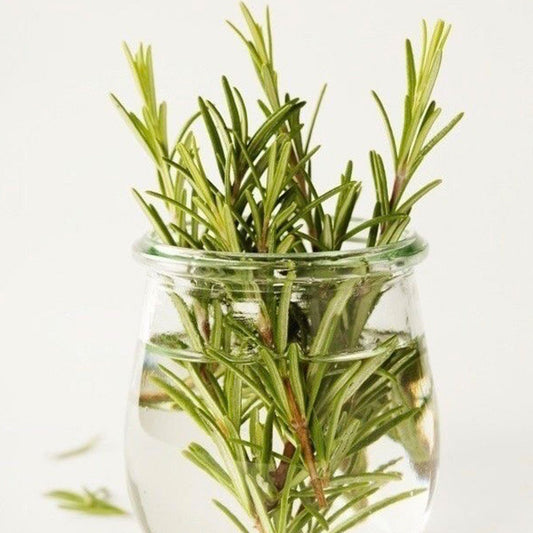 Fragancia Romero (15ml)