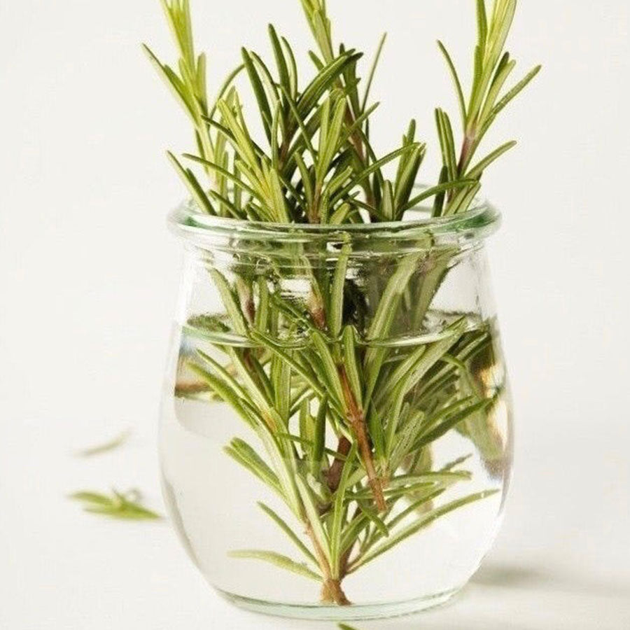 Fragancia Romero  (50 ml)