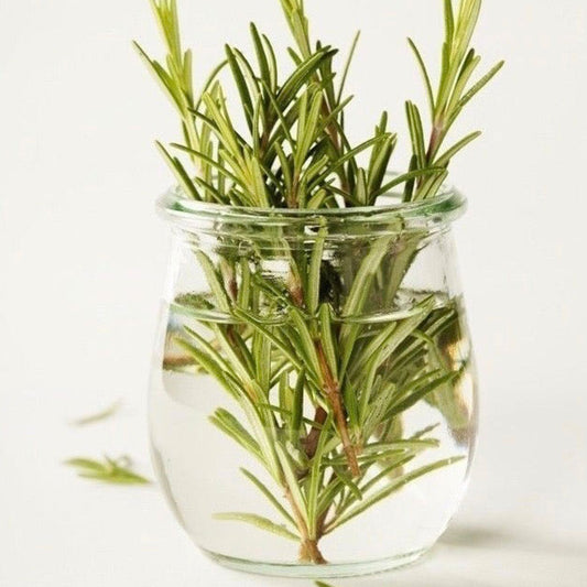 Fragancia Romero  (50 ml)