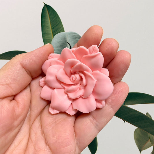 Rosa abierta