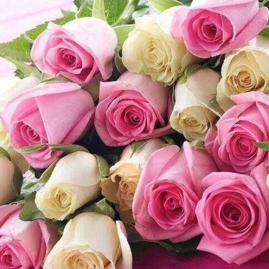 Fragancia Rosas (50 ml)