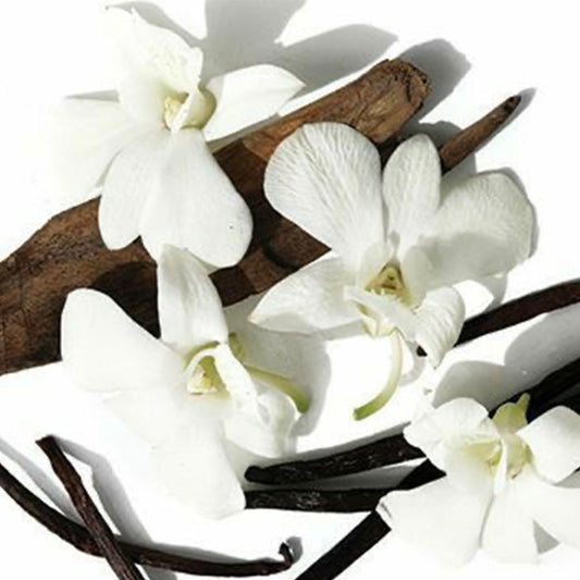Fragancia Vainilla (15ml)